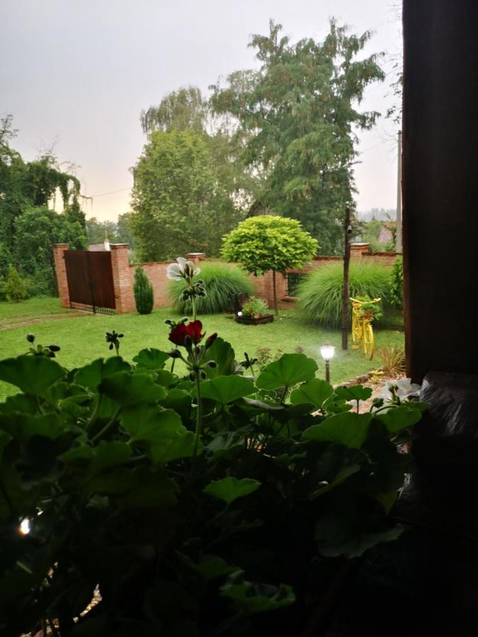 Etno Kuca Todorovic Villa Szendrő Kültér fotó