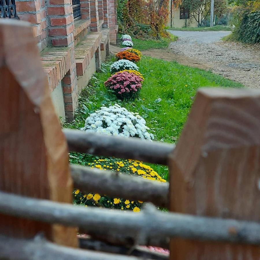 Etno Kuca Todorovic Villa Szendrő Kültér fotó